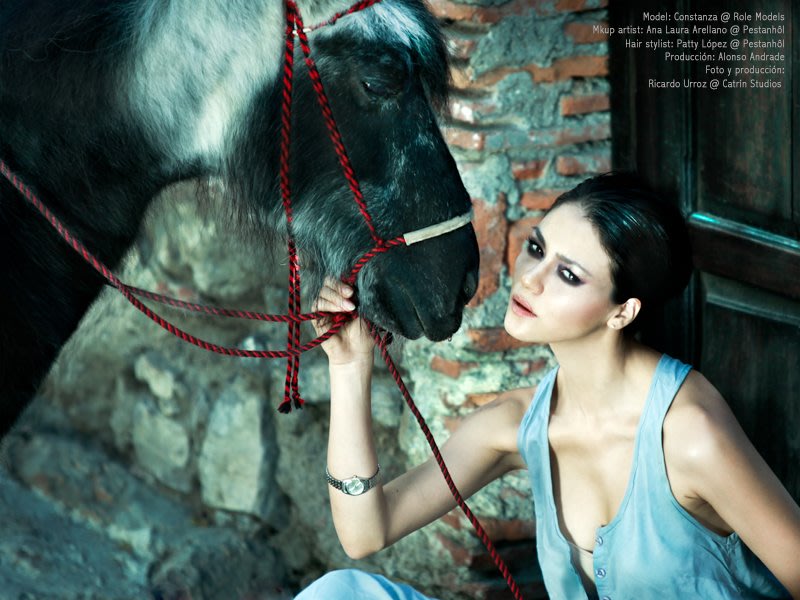Constanza &ndash; New Models