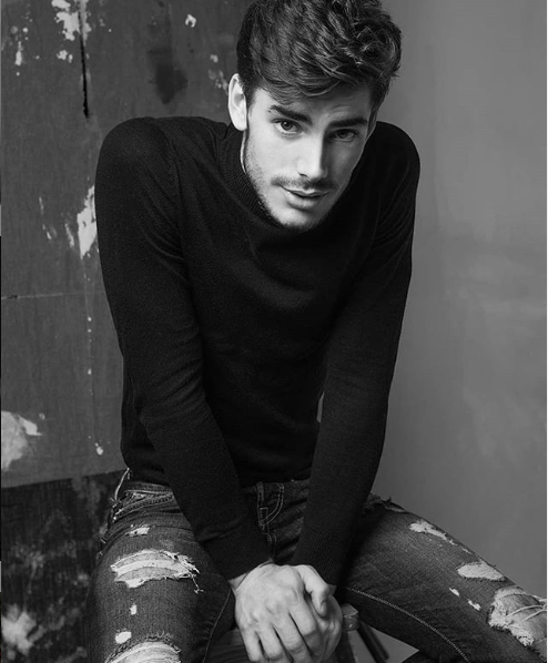 Pedro &ndash; New Models