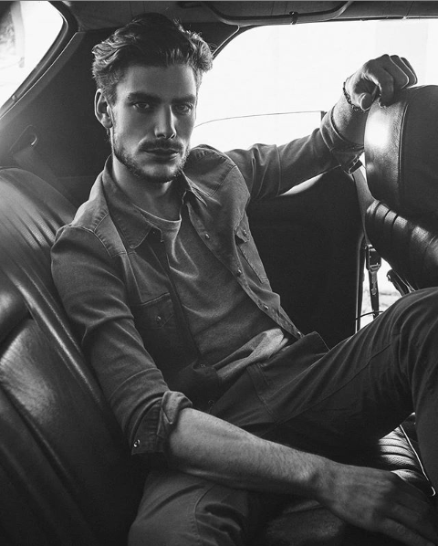 Pedro &ndash; New Models