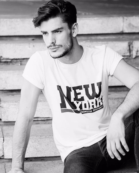 Pedro &ndash; New Models