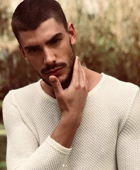 Pedro &ndash; New Models